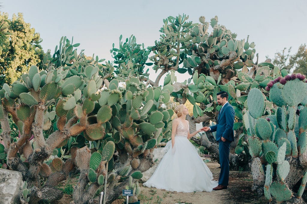 bride and groom sunset photos in cactus garden