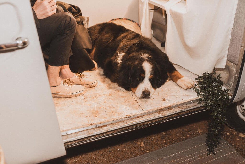 dog at wedding sleeping in photobooth bus
